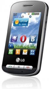Picture 3 of the LG T315i.