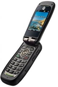 Picture 2 of the MOTOROLA QUANTICO.