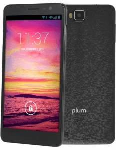 Picture 2 of the Plum Coach Pro.