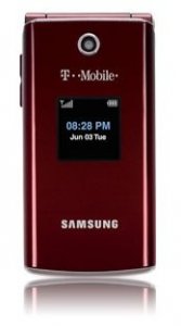 Picture 1 of the Samsung T339.